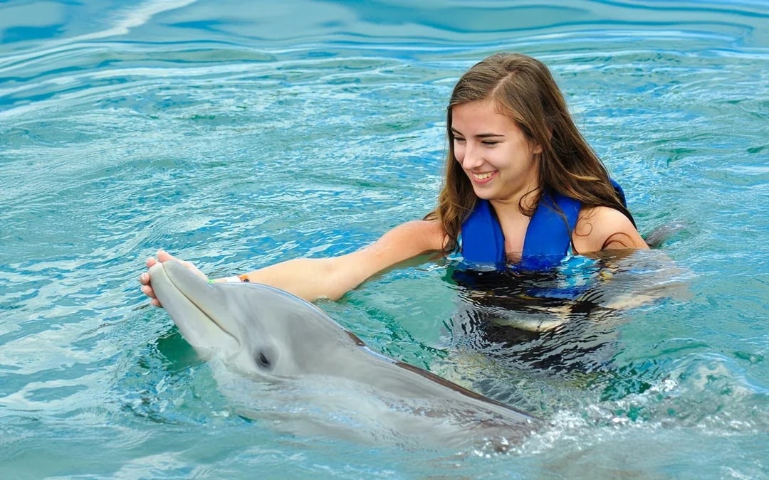 Dolphinarium Pattaya Tickets: Non-Thai Residents Image 1