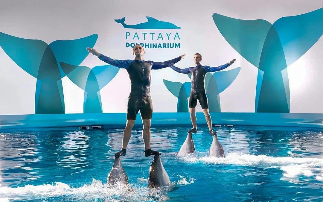 Dolphinarium Pattaya Tickets: Thai Residents Image 6