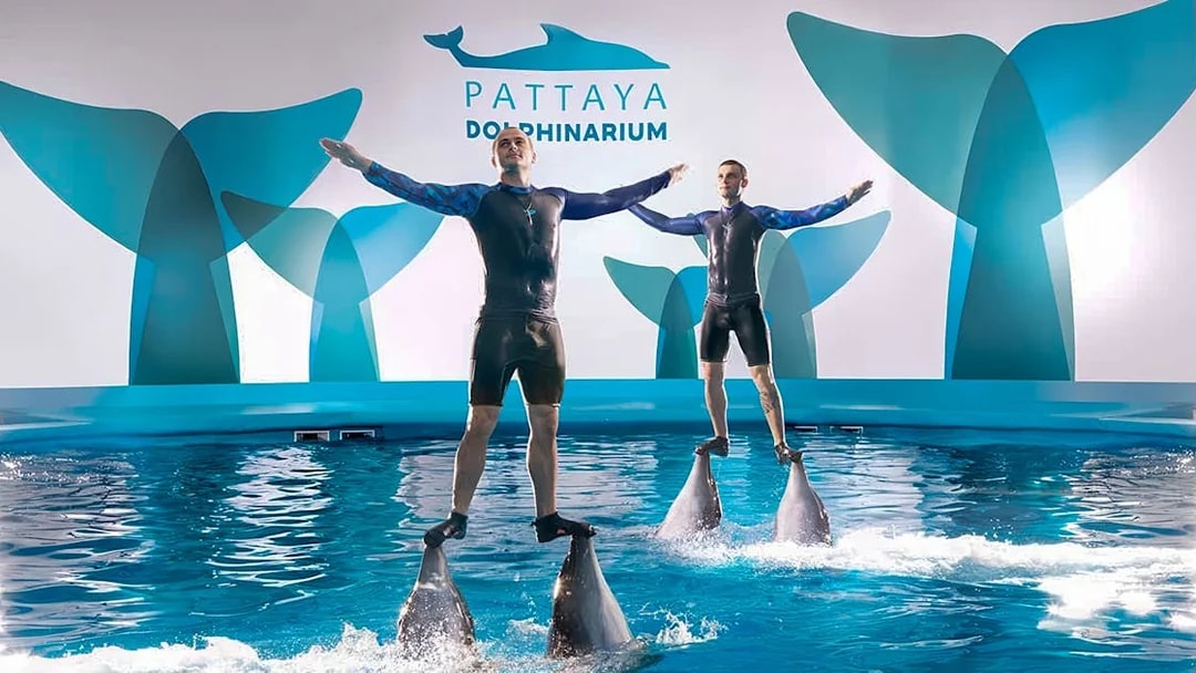 Trainers performing on dolphins at Pattaya Dolphinarium, Thailand.