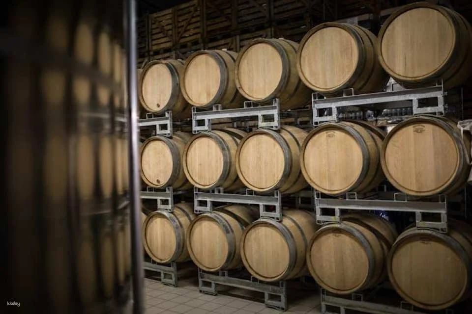 Dom Caudron Champagne House guided tour with tastings