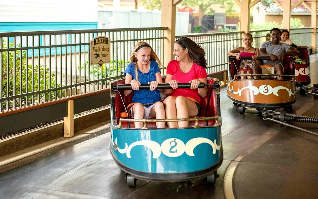 Dorney Park One Day Ticket Image 9