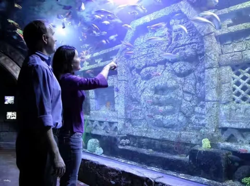 Downtown Aquarium Houston Ticket - Texas
