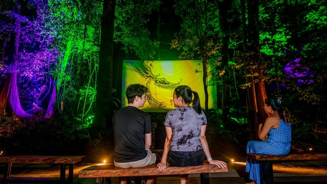 Visitors watching projection mapping of local legends in a forest setting.