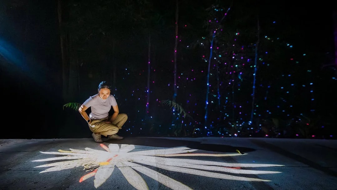 Person interacting with digital projection of a flower, surrounded by colorful lights in a dark setting.