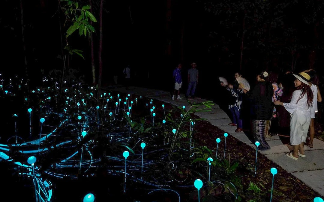 Dream Forest Langkawi Tickets Image 6