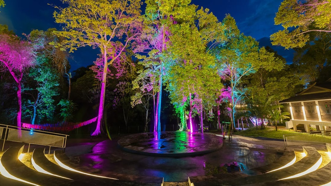 Colorful lights illuminate trees in Malaysia's themed attraction, blending rainforest and fantasy elements.