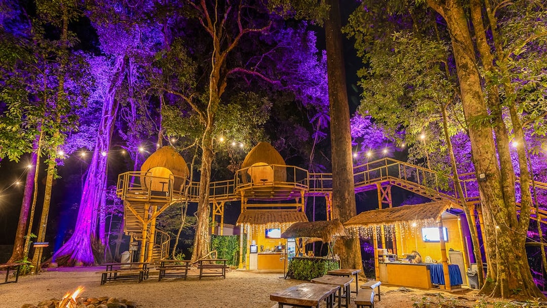 Treehouses and lit pathways at Dream Forest Langkawi's tree village.