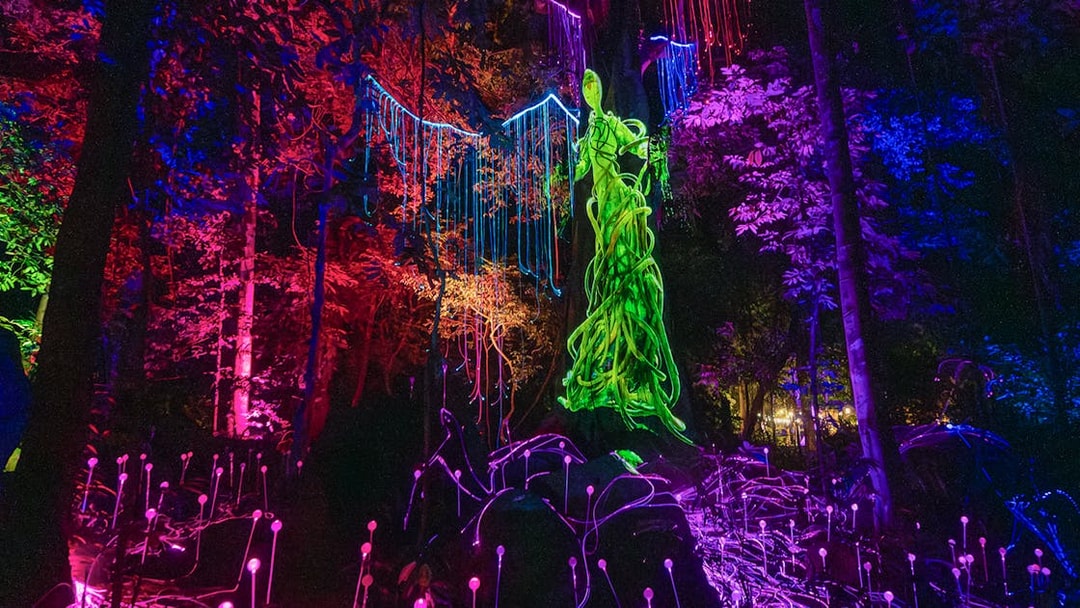 Langkawi Dream Forest night walk with colorful illuminated trees and glowing sculptures.