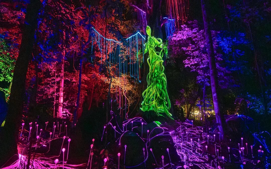 Dream Forest Langkawi Tickets Image 11