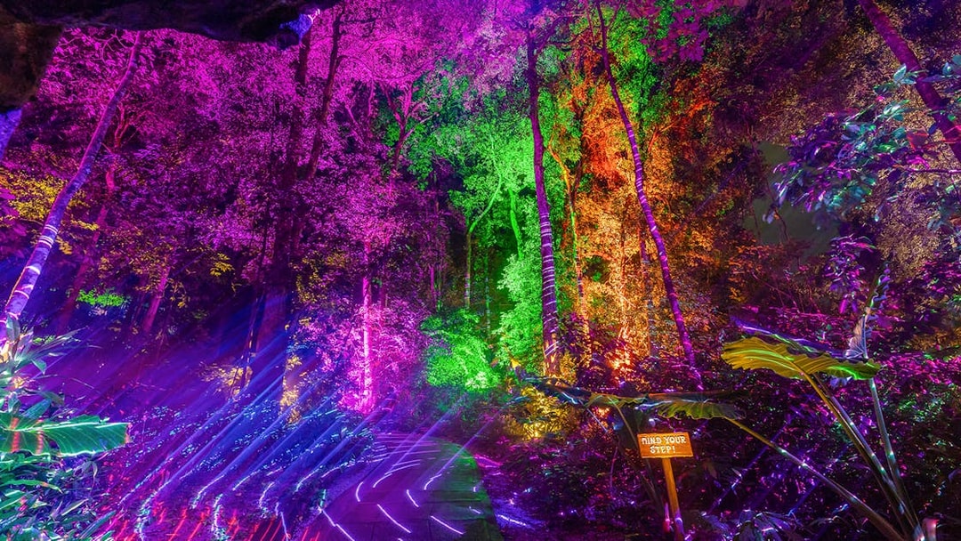 Illuminated trees with colorful lights at Dream Forest Langkawi.