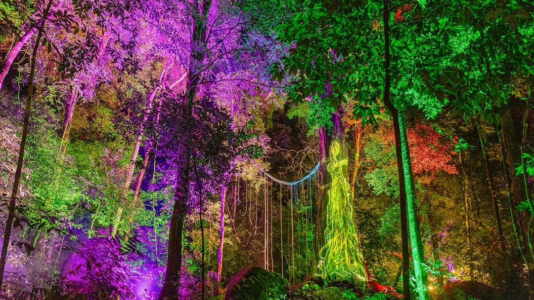 Illuminated trees with colorful lights at Dream Forest Langkawi.