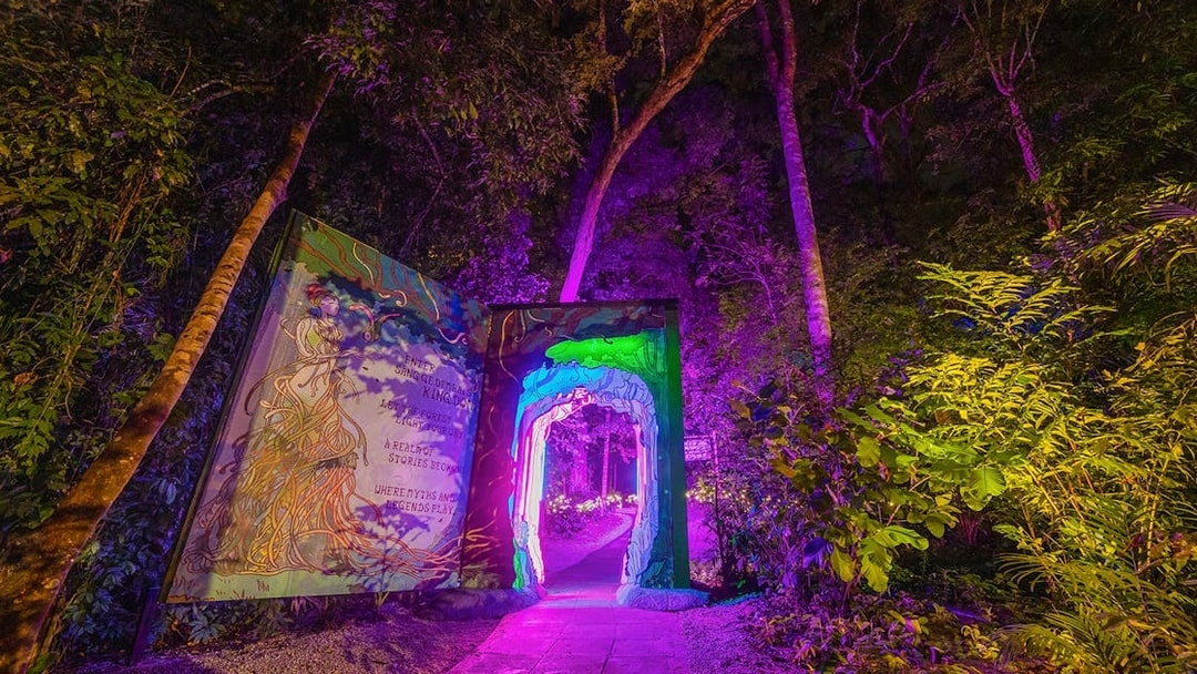 Illuminated pathway and trees at Dream Forest Langkawi with vibrant purple and green lights.