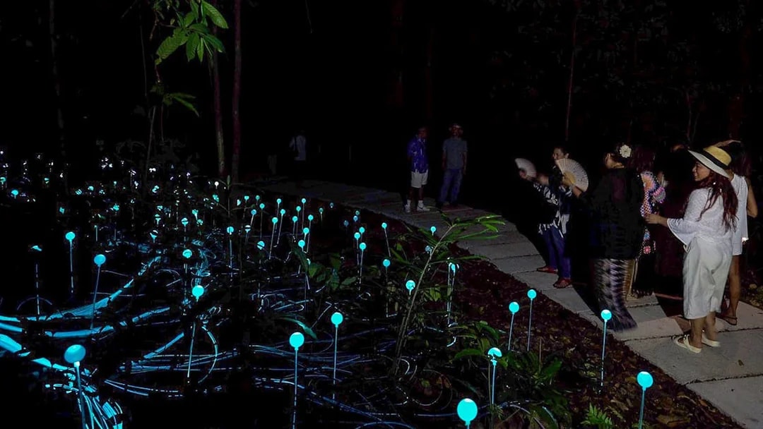 Visitors observing glowing lights in Dream Forest at night.