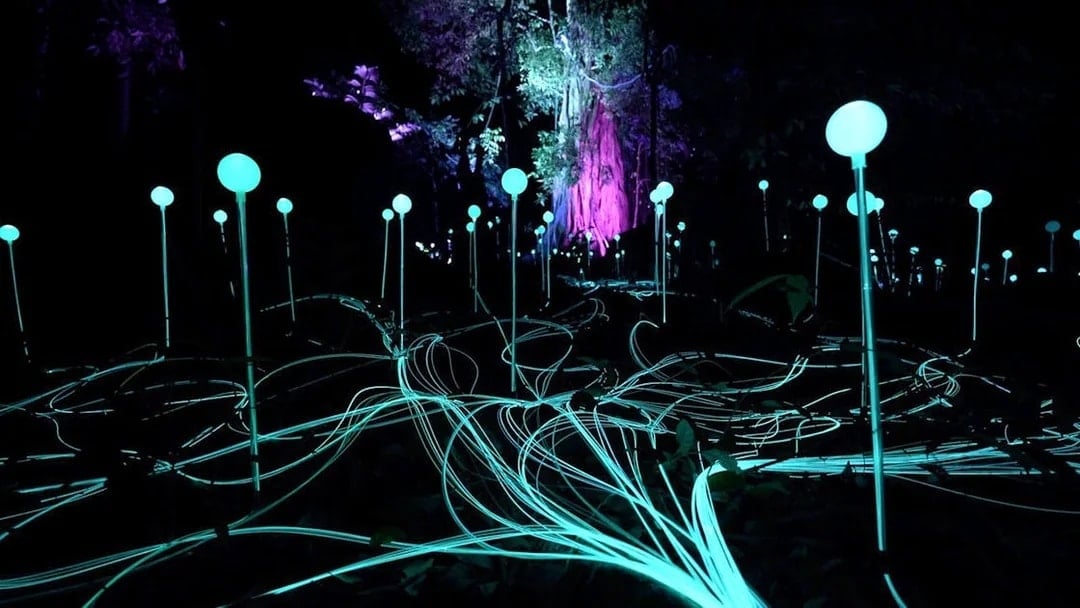Dream Forest Langkawi Tickets