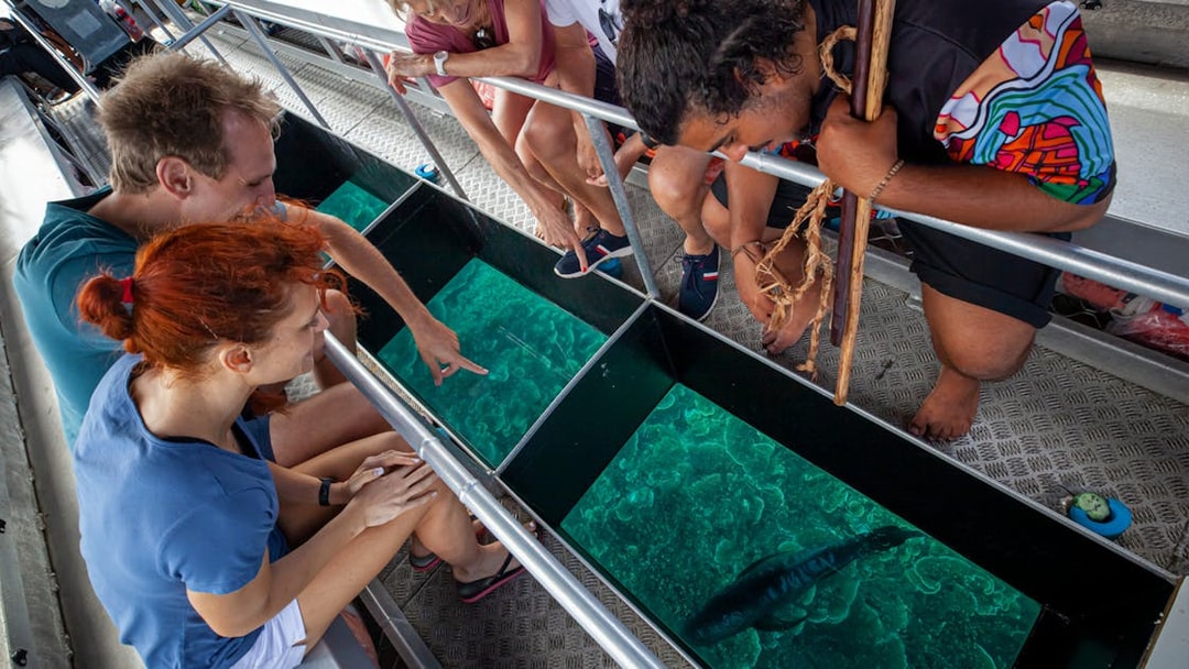 Visitors observing marine life through a glass-bottom boat on the Dreamtime Dive & Snorkel tour from Cairns.