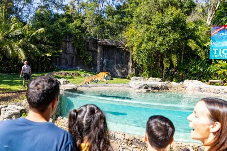 Dreamworld Ticket | Gold Coast