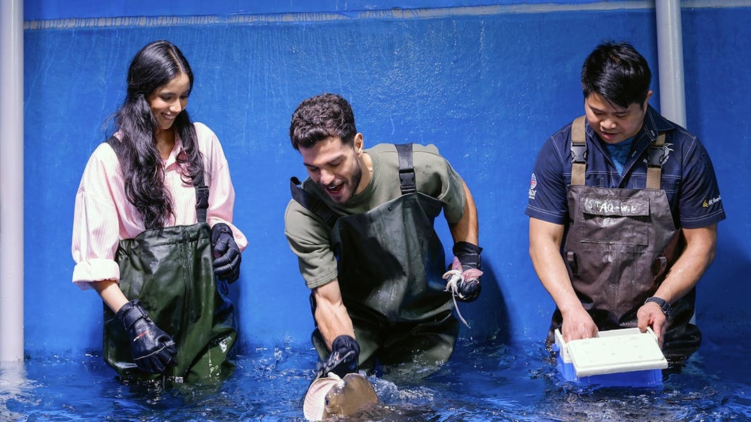 Visitors feeding rays at Dubai Aquarium's Underwater Zoo.