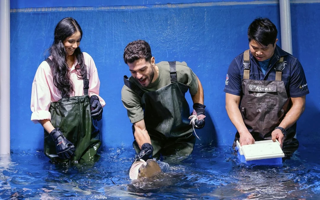 Dubai Aquarium & Underwater Zoo with Penguin Cove Tickets Image 8