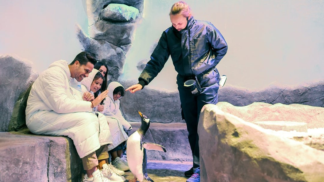 Family interacting with a penguin at Dubai Aquarium & Underwater Zoo.
