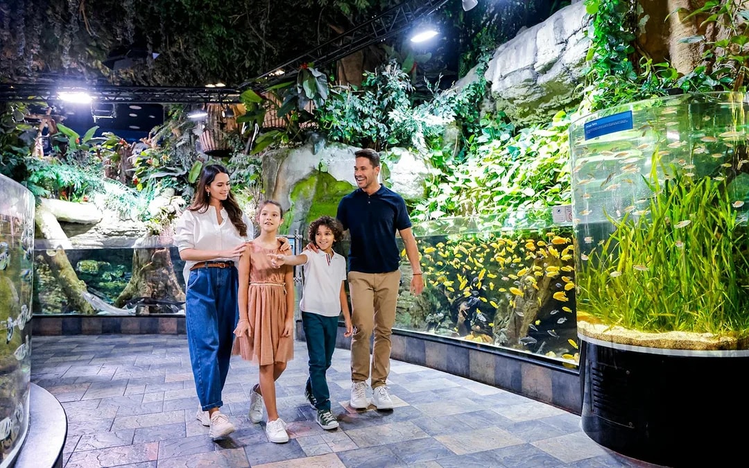 Dubai Aquarium & Underwater Zoo with Penguin Cove Tickets Image 11