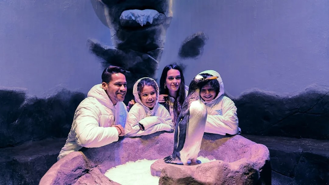 Family observing a penguin at Dubai Aquarium exhibit.