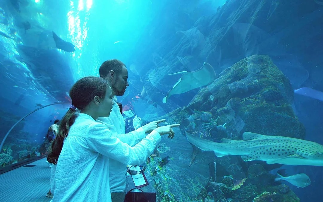 Dubai Aquarium & Underwater Zoo with Ultimate Experience Gold Pass Image 7