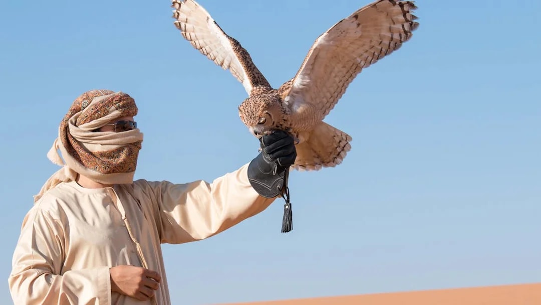 Falconer with falcon in desert during morning safari.