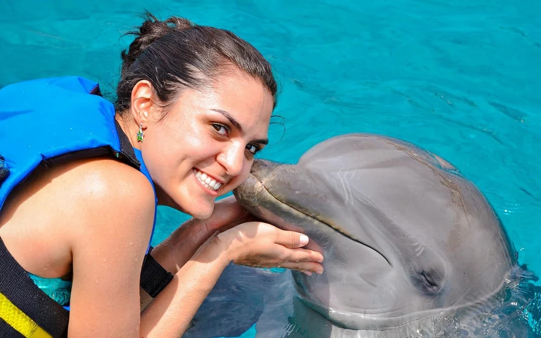 Dubai Dolphinarium: Dolphin & Seal Show + Mirror Maze Tickets with Popcorn Image 8