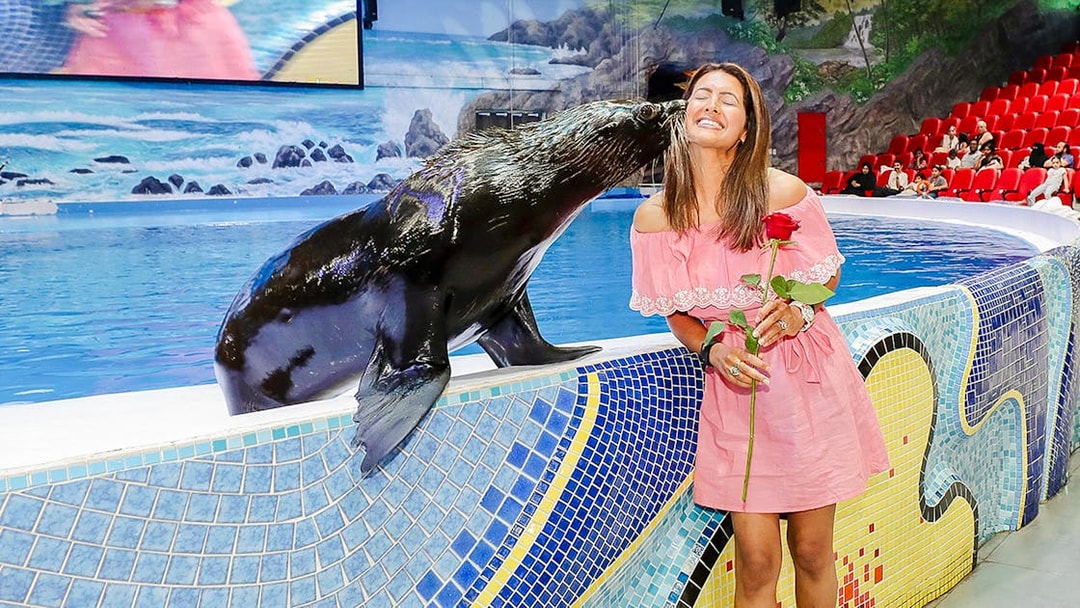 Tourist smiling as a seal kisses her at an aquarium show.