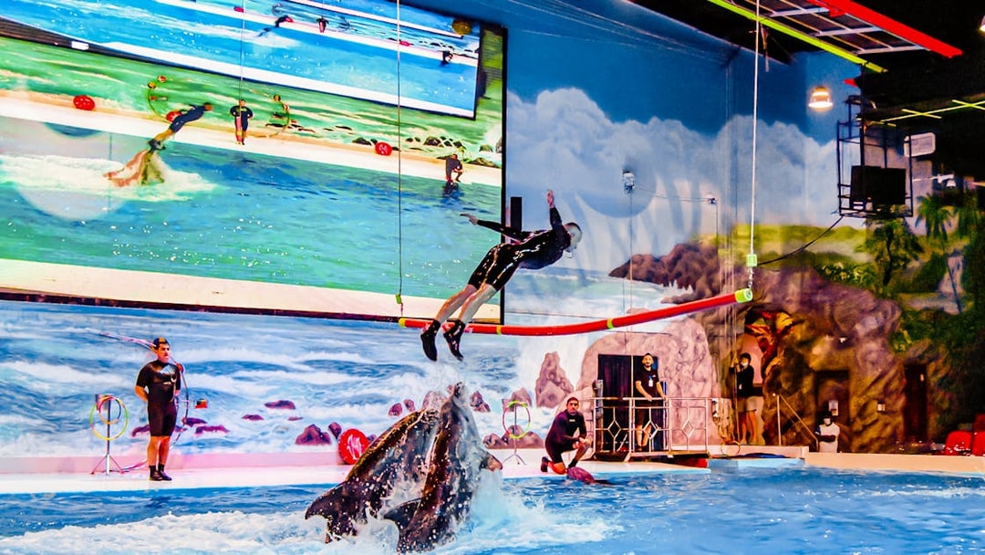 Dolphin leaping with trainer at Dubai Dolphinarium show.