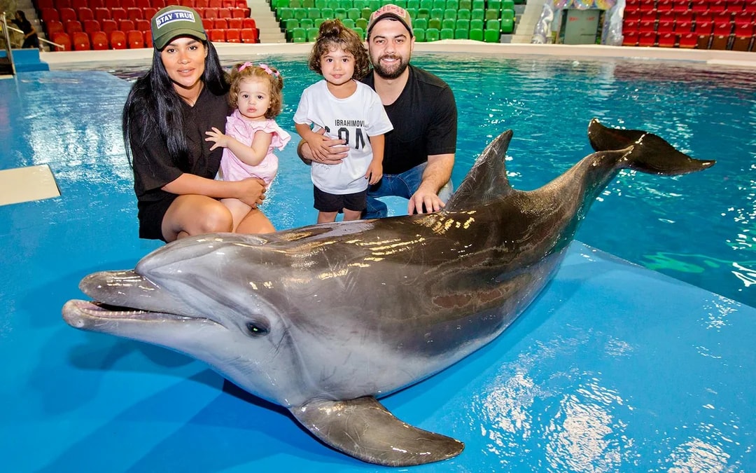 Dubai Dolphinarium: Dolphin & Seal Show Tickets Image 3