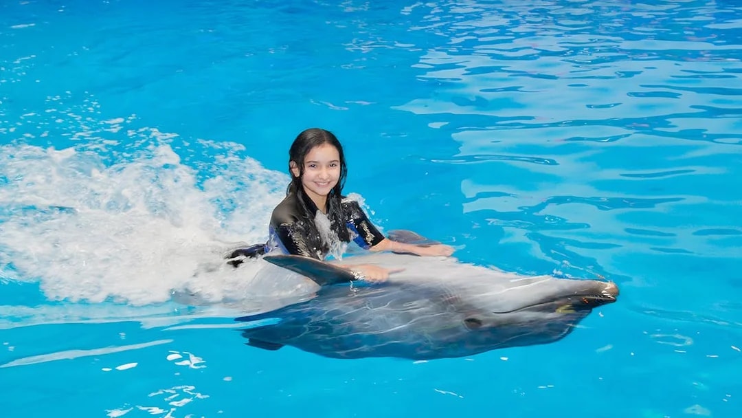 Girl swimming with a dolphin at Dubai Dolphinarium.