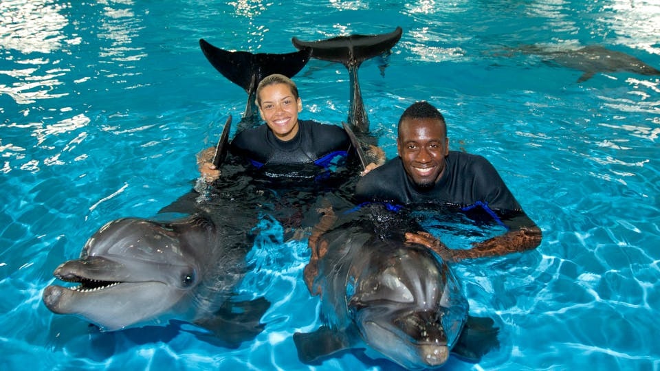 Swimming with dolphins at Dubai Dolphinarium.
