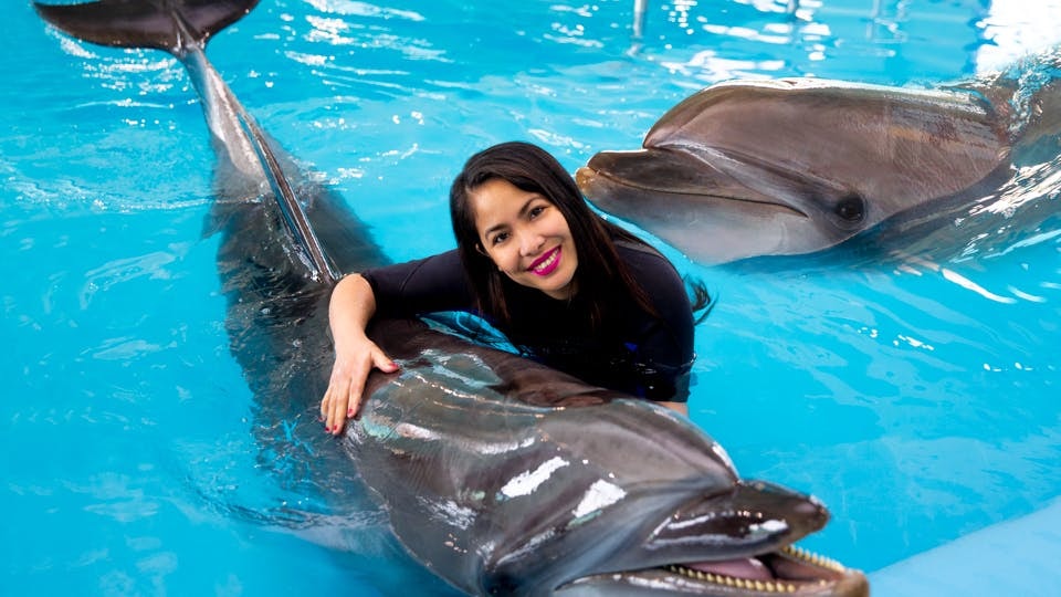 Swimming with dolphins at Dubai Dolphinarium.