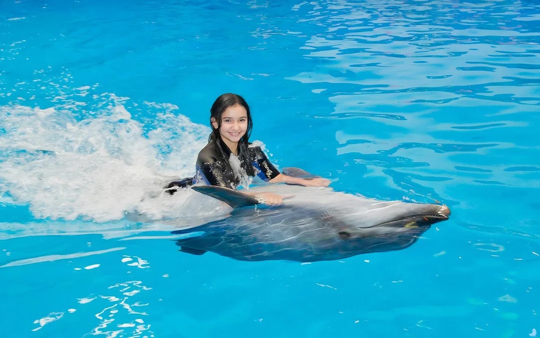 Dubai Dolphinarium: Dolphin & Seal Show VIP Tickets + Dolphin Encounter Image 2
