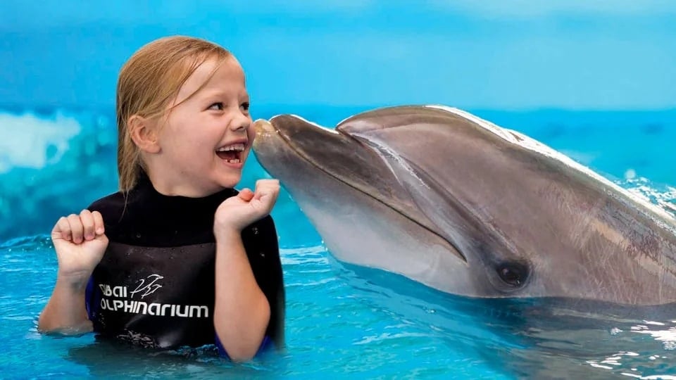 Dubai Dolphinarium: Dolphin & Seal Show VIP Tickets + Dolphin Encounter