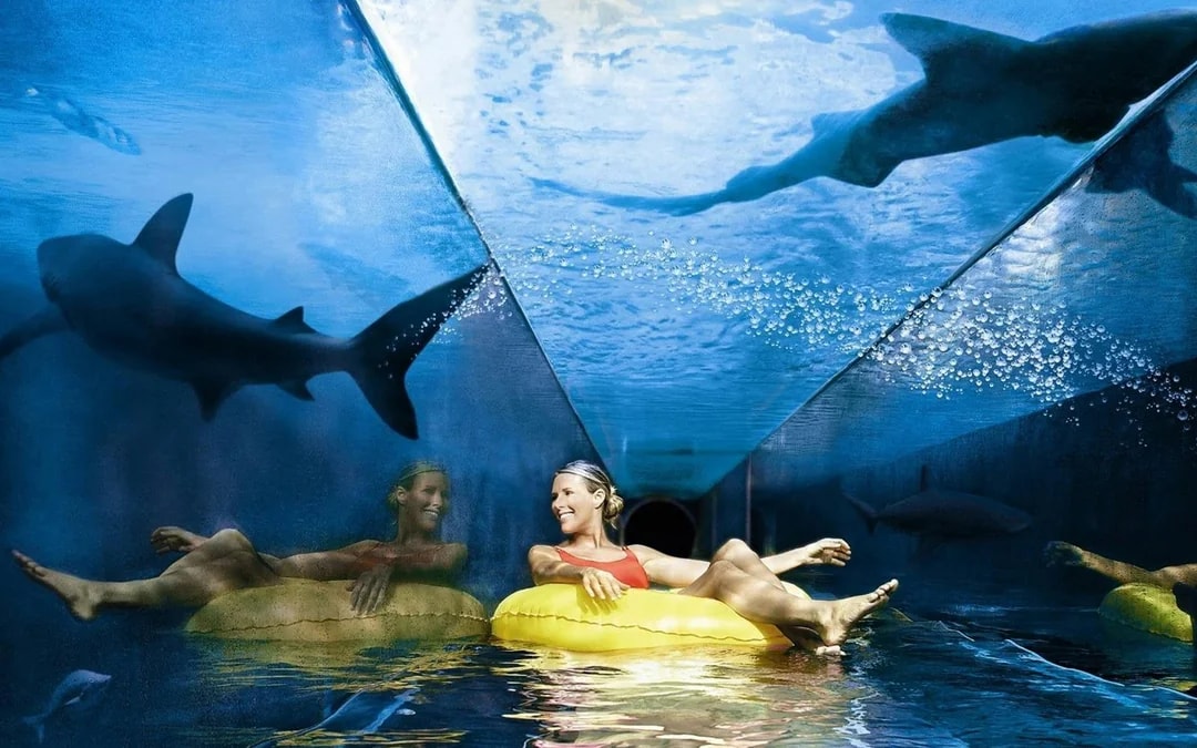 City Sightseeing: Dubai Hop-on Hop-off Bus Tour with Optional Lost World Aquarium & Aquaventure Tickets Image 3