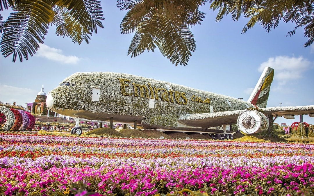 Emirates plane covered in flowers at Dubai Miracle Garden.
