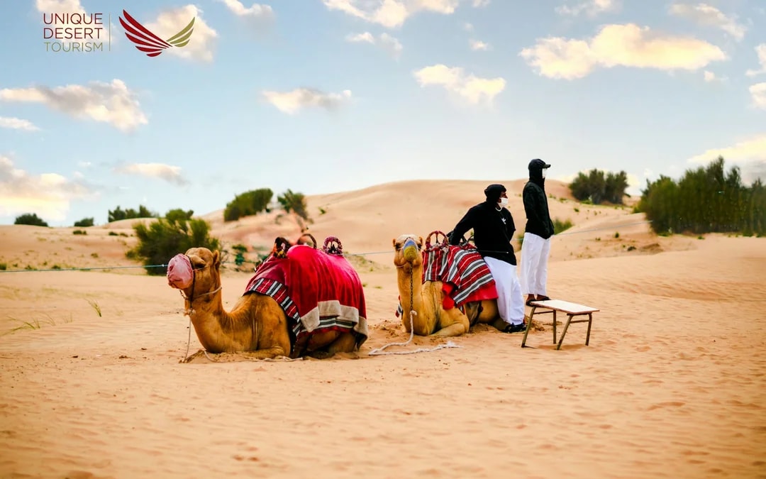 Dubai Private Morning Desert Safari with Sandboarding & Camel Ride Image 8
