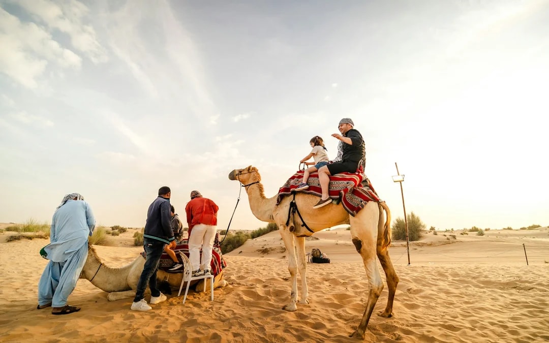Dubai Private Morning Desert Safari with Sandboarding & Camel Ride Image 9