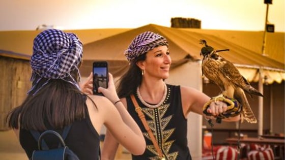 Dubai: Sunset Camel Safari, Stargazing, BBQ at Al Khayma