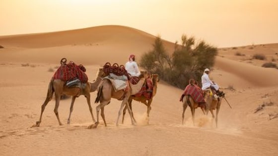 Dubai: Sunset Camel Safari, Stargazing, BBQ at Al Khayma