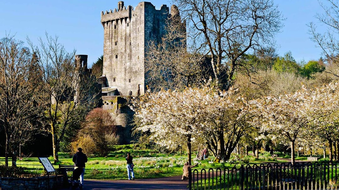 Blarney Castle exterior with surrounding gardens in County Cork, Ireland.
