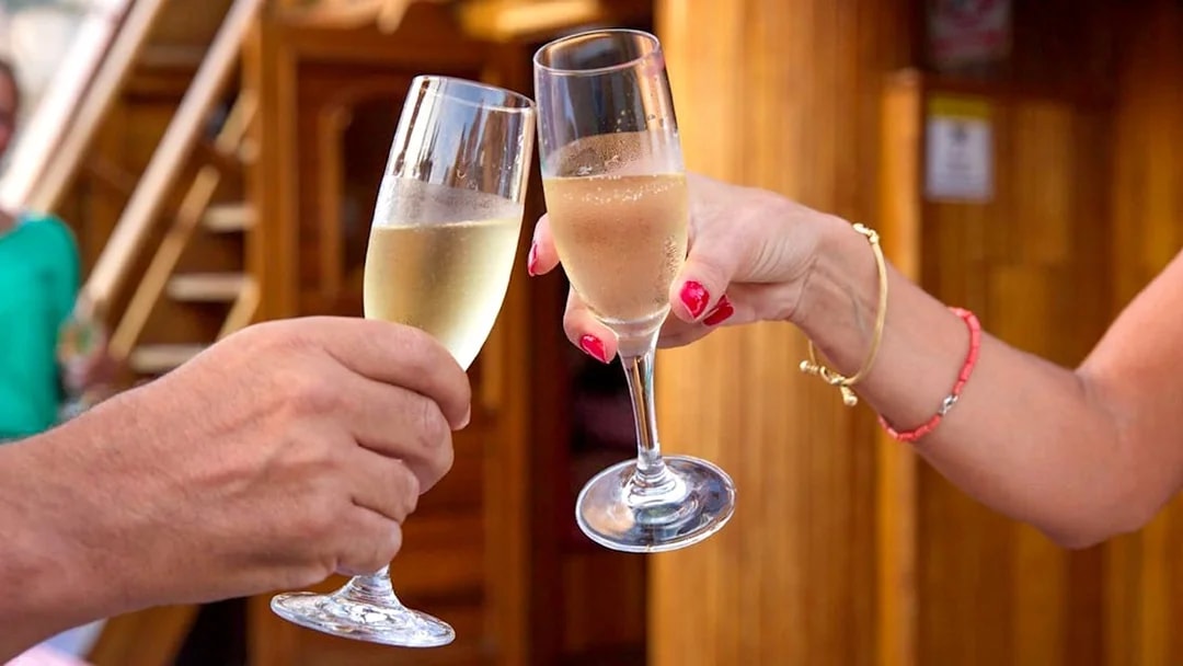 Guests toasting with drinks on Karaka Ship Sunset Cruise.