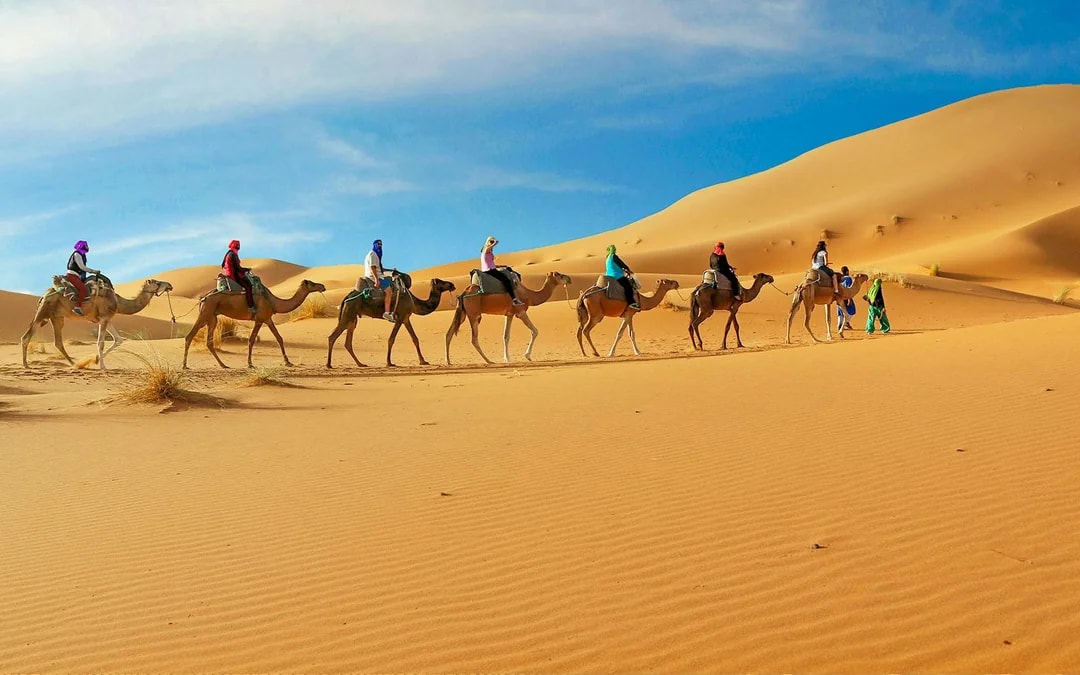 Morning Desert Safari with Dune Bashing & Sand Boarding Image 5