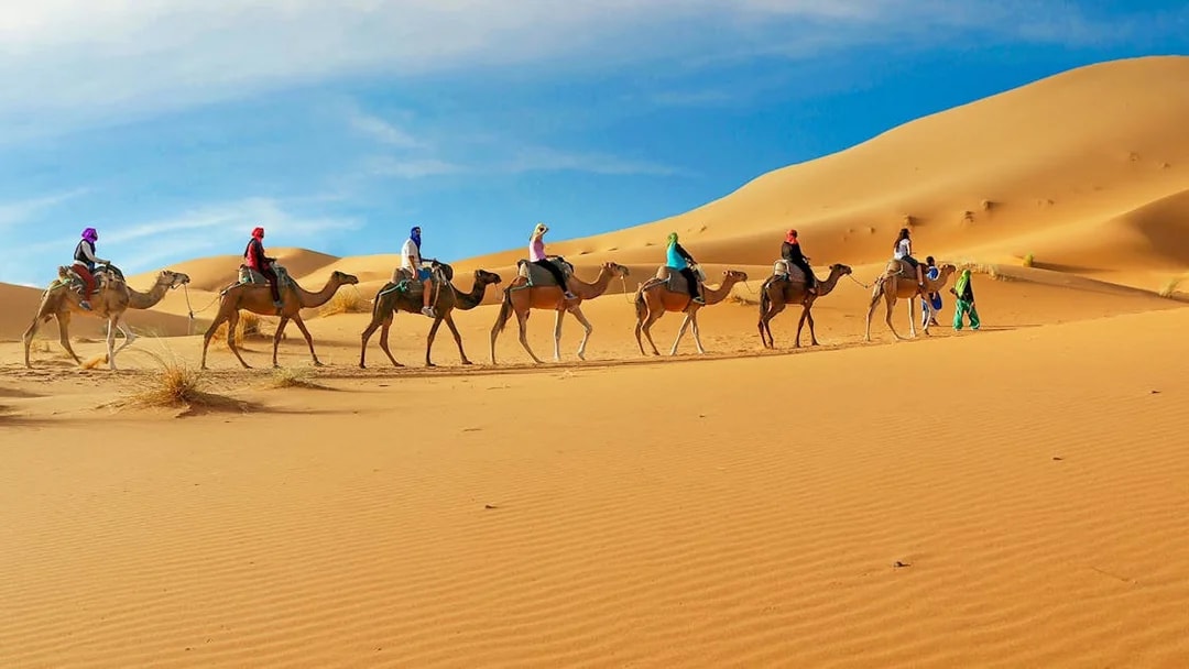 Camel caravan crossing sand dunes in Dubai desert safari.