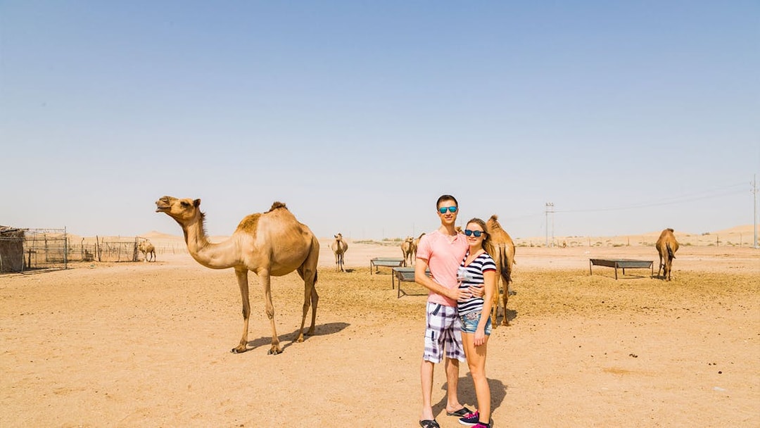 Couple standing near camels in Dubai desert during safari tour.