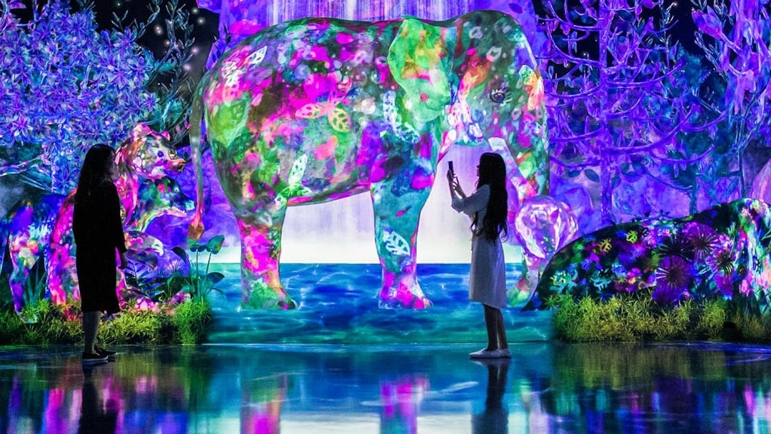 Visitors interacting with colorful digital art of animals at E・ZO FUKUOKA teamLab Forest.