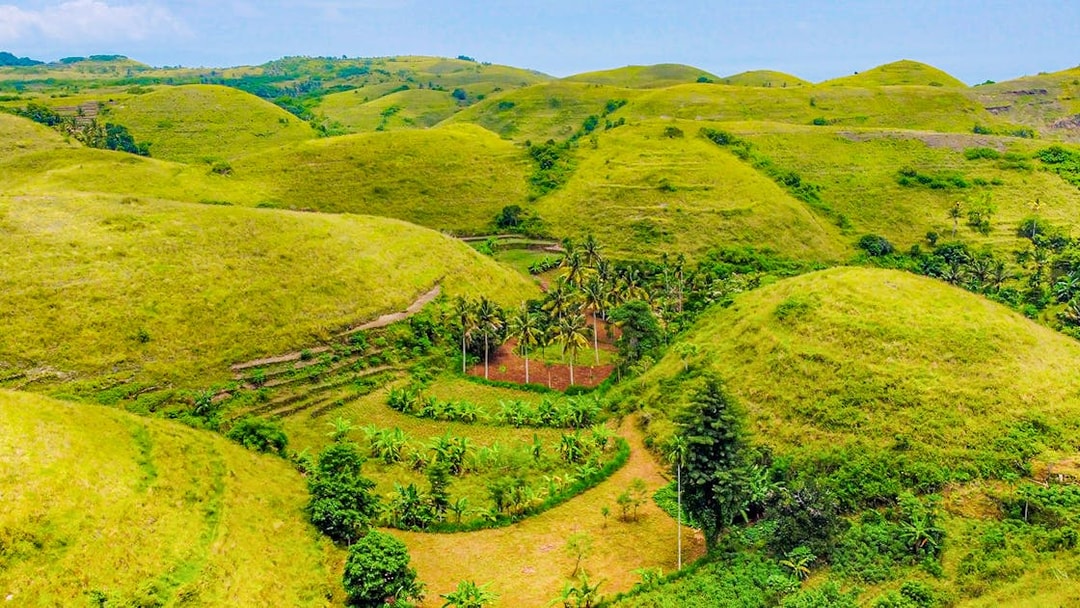 Tourists exploring Teletubbies Hill's lush green landscape, Nusa Penida, on a sunny day trip.