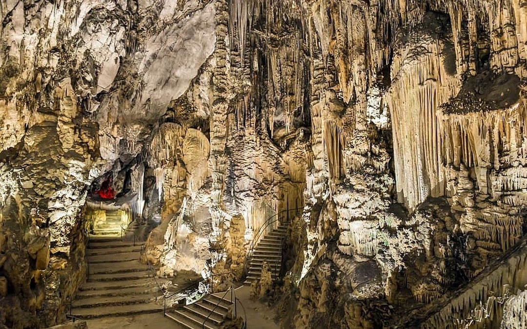 Eastern Majorca Tour with Arta Caves and Aloe Plantation Image 4